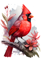 acquerello rosso cardinale con fiore su un' ramo, acquerello la pittura. generativo ai png