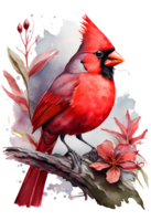 Watercolor Red Cardinal with flower on a branch, watercolor painting. png