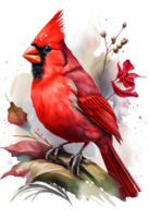 aquarelle rouge cardinal avec fleur sur une bifurquer, aquarelle peinture. génératif ai png