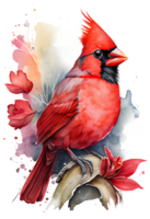 Watercolor Red Cardinal with flower on a branch, watercolor painting. png