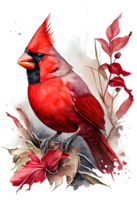 Watercolor Red Cardinal with flower on a branch, watercolor painting. png