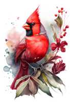 Watercolor Red Cardinal with flower on a branch, watercolor painting. png