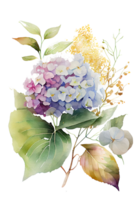 hortensia flores, ramas y hojas, acuarela cuadro. generativo ai png
