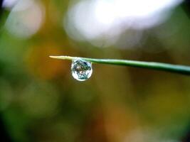 Water Drop with Blurred Background Macro Photo