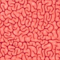 Brain tissues, surface creases seamless pattern vector