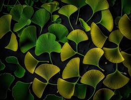 Ginkgo biloba green leaves background created with technology photo