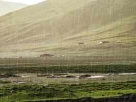 tibetano campo en un mojado día foto