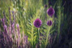 púrpura flor en de cerca en un verde jardín antecedentes foto