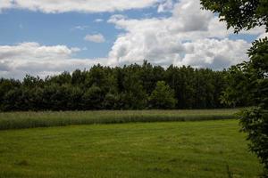 agricultural landscape in Poland on a summer day photo