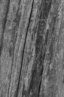 close up of old wooden fence photo