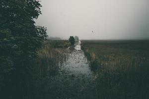 lttle narrow river flowing through the meadow on gray misty day photo