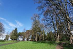 Low Angle View of Tree and Branches at Local Park photo