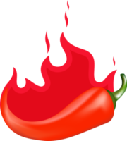 Chili Pepper Spice. Hot pepper sign with fire for packing spicy food. Mild, medium and extra hot pepper sauce sticker png