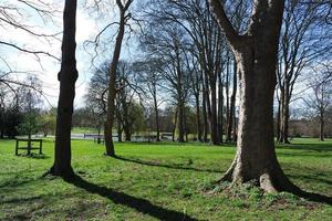 Low Angle View of Local Public Park and Beautiful Trees a Clear and Cold Day of 22-March-2023 at Luton Town of England UK. photo