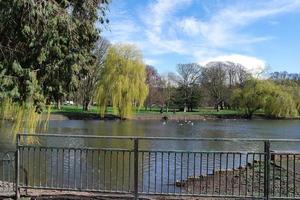 Low Angle View of Tree and Branches at Local Park photo