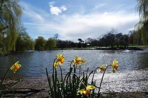 bajo ángulo ver de local público parque y hermosa arboles un claro y frío día de 22-marzo-2023 a lutón pueblo de Inglaterra Reino Unido. foto