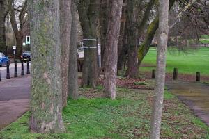 Low Angle View of Local Public Park. The Image Was Captured at Wardown Public Park of Luton Town of England UK During a Cold and Cloudy Evening of 01-April-2023 photo