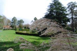 Low Angle View of Local Public Park and Beautiful Trees a Clear and Cold Day of 22-March-2023 at Luton Town of England UK. photo