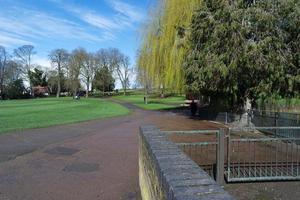 Low Angle View of Tree and Branches at Local Park photo