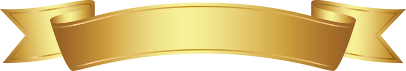 Luxury gold eagle phoenix logo design on transparent background PNG -  Similar PNG