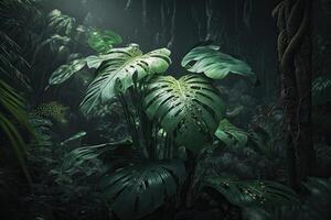 Asian green tropical jungle rainforest in daytime with sun light AI Generated photo