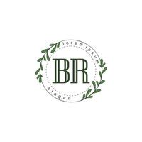 BR Initial beauty floral logo template vector