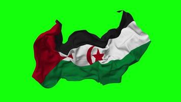 sahrawi Arabisch democratisch republiek vlag naadloos looping vliegend in wind, lusvormige buil structuur kleding golvend langzaam beweging, chroma sleutel, luma matte selectie van vlag, 3d renderen video
