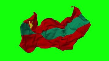 transnistria flagga sömlös looping flygande i vind, looped stöta textur trasa vinka långsam rörelse, krom nyckel, luma matt urval av flagga, 3d tolkning video