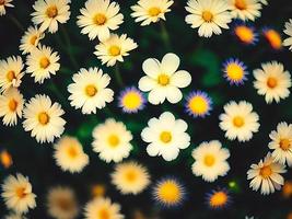 Flower wallpaper, Digital flower Wallpaper photo