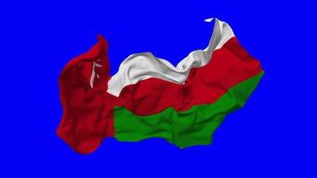 Oman Flag Seamless Looping Flying in Wind, Looped Bump Texture Cloth Waving Slow Motion, Chroma Key, Luma Matte Selection of Flag, 3D Rendering video