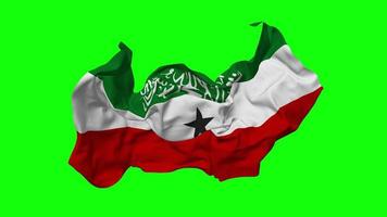Somaliland Flag Seamless Looping Flying in Wind, Looped Bump Texture Cloth Waving Slow Motion, Chroma Key, Luma Matte Selection of Flag, 3D Rendering video