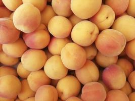 Ripe apricots fruit food background photo
