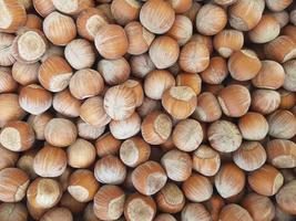 Hazelnut nut health organic brown autumn background concept. Food background. photo
