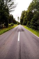 Road in the countryside photo