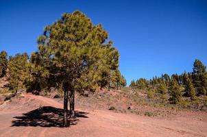 Scenic rural landscape photo