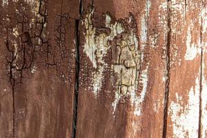 interesante original natural antecedentes desde un antiguo pardusco árbol maletero en de cerca foto
