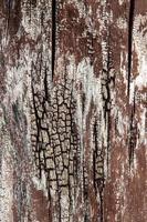 interesting original natural background from an old brownish tree trunk in close-up photo