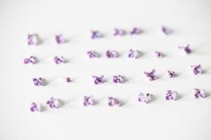 purple lilac flowers lying on a white isolated background in close-up photo