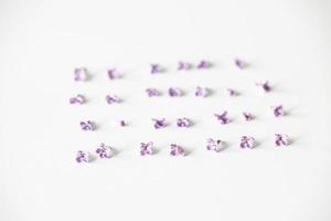 purple lilac flowers lying on a white isolated background in close-up photo