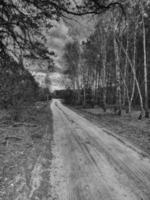 bosque paisaje con suciedad la carretera y arboles en un nublado primavera día foto