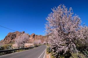 Scenic rural landscape photo