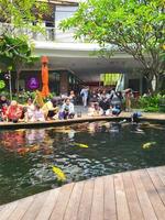 Bekasi, Indonesia - March,12 2023 Children and their parents are looking at colorful koi fish in the pool of summarecon mall Bekasi photo