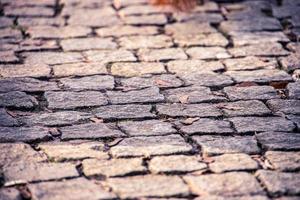 historic original paved pavement with autumn leaves in close-up creating interesting background photo