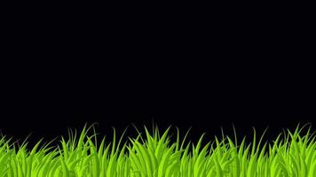 Looped animation of grass. Animation with grass moving. 4K seamless loop video footage. Transparent background with alpha channel