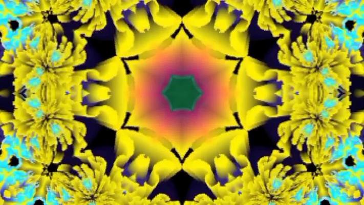 Flower Blooming Animation Stock Video Footage for Free Download