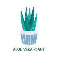 Vector isolated cartoon illustration of home potted succulent aloe vera plant.