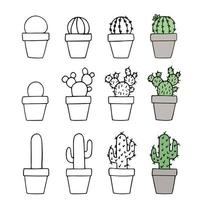 Stages of drawing a cactus. Set of different cacti. vector