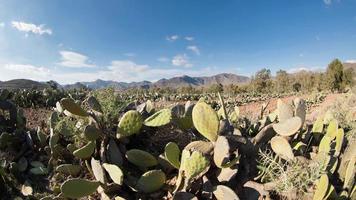 lasso di tempo di il bellissimo cabo de gata deserto paesaggio vicino almeria, Spagna video