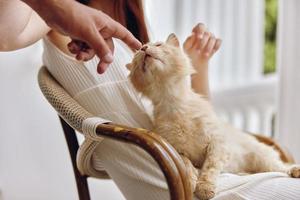 hermosa mujer sentado en el terraza con un gato relajación concepto foto