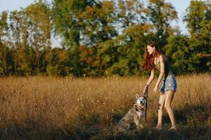 A woman plays and dances with a husky breed dog in nature in autumn on a field of grass and smiles at a good evening in the setting sun photo